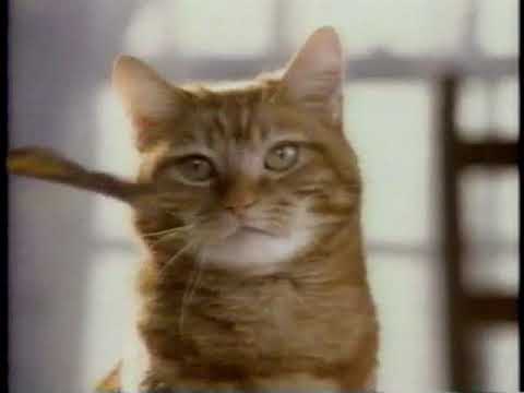 TBS Commercial Break-Summer 1995