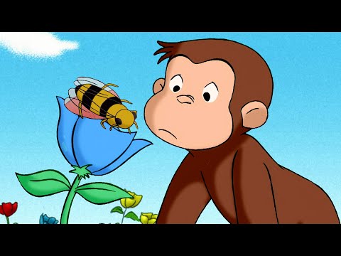 Woher kommt der Honig? | Coco der Neugierige | Cartoons für Kinder