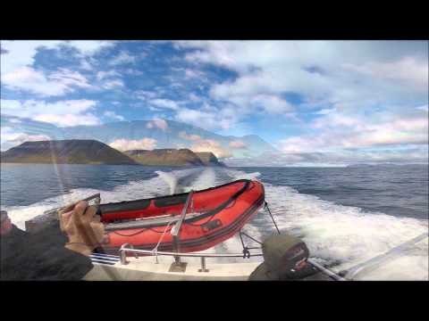 Icelland by Delica   The North Western fijords and Vigur Island