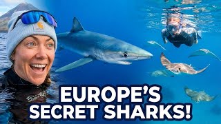 I Can't Believe This Shark Dive is in Europe