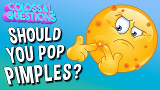 Should You Pop Pimples? | COLOSSAL QUESTIONS