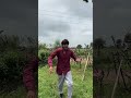 हैप्पी नाग पंचमी आप सभी को Dharmendra Bilotia Shorts Dharm