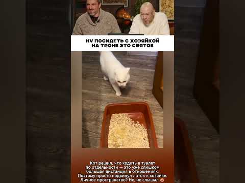 Ну посидеть с хозяйкой хочет 😹