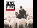 Black Sheep - Black with N V (No Vision)