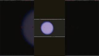 【#盗作】【#ヨルシカ】【#shorts】【#永久機関】  #盗作 #ヨルシカ  プロフよりYouTube fullへ飛べます！ #初音ミク #anime  #hatsunemiku