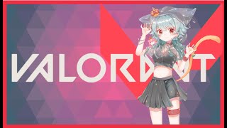 【VALORANT】【新人VTuber】ド初心者！眠くなるまでアンレかコンペか！
