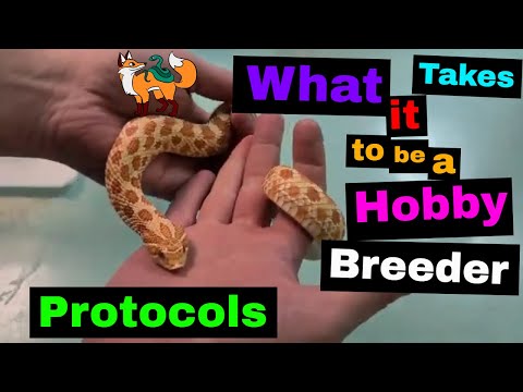 What it Takes to be a Hobby Breeder - Protocols