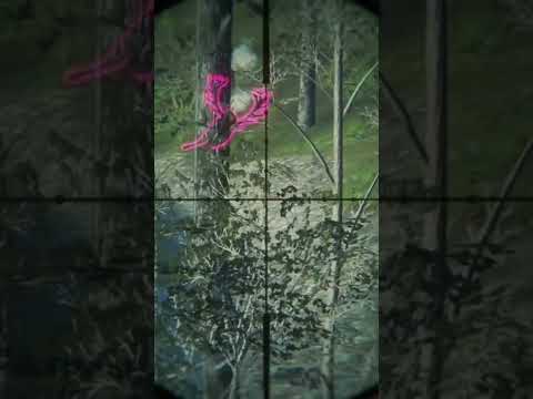 Dropping a MAX WEIGHT 270+ Red Deer | theHunter : Call of the Wild