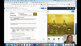 Inheritance Gizmo Activity A
