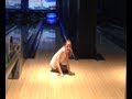 Bowling Fail Compilation January 2013