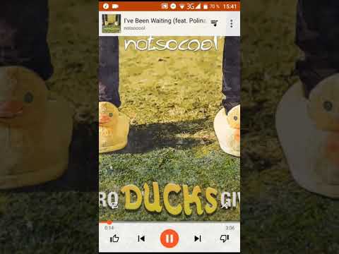 I've Been Waiting-Notsocool feat Polina Vita (Nur Song ohne Video)