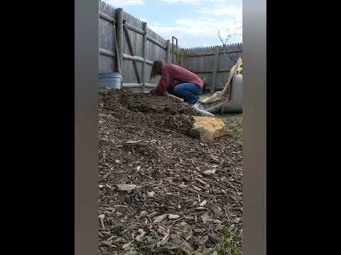 First Outdoor Seed Sowing of the Year