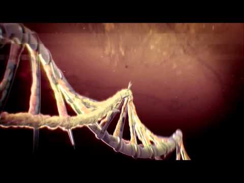 Killing Floor 2 Teaser Trailer Dub