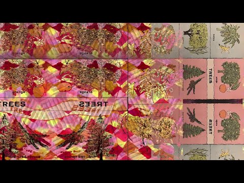 Video thumbnail for Broke Zodiac