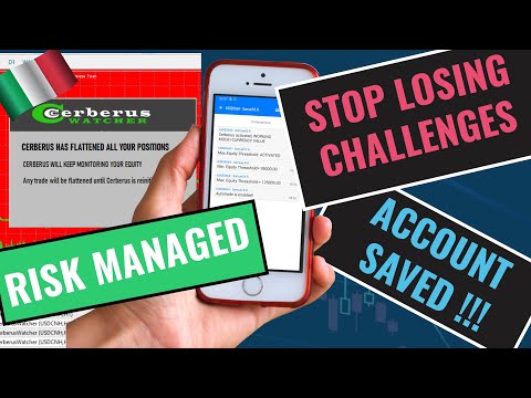 Video Cerberus Equity Watcher