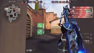 無題の動画