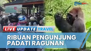 Ribuan Pengunjung dari Berbagai Daerah Padati Taman Margasatwa Ragunan di Libur Lebaran 2023