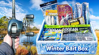 I Built The BEST Winter Fishing BAIT Box - What’s Inside?