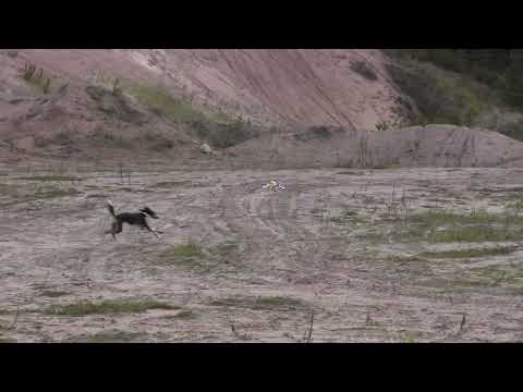 Aavatuulen Lyxirium 23.10.2022