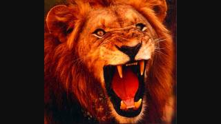 Overkill - Feeding Frenzy - special video