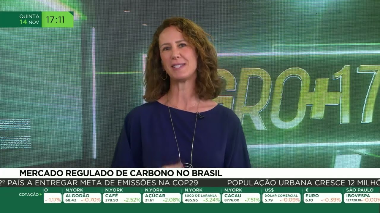 Mercado regulado de carbono no Brasil