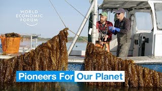 This incredible underwater farm could be the future of food | Pioneers for Our Planet Video