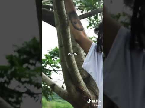 Coruja é com certeza um dos melhores letristas do Rap Br