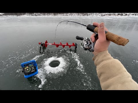 Early Ice Fishing Aggressive Jumbo Perch and Walleye!