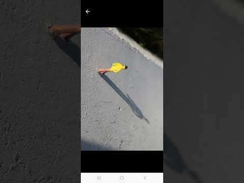 Flip Images and Rotate Photos