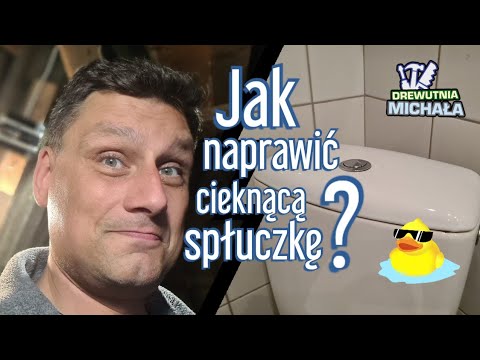 How to Fix a Dripping Flush? Toilet Leaking?