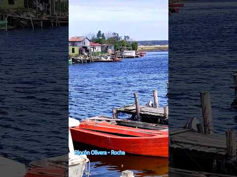 Rincón de los Olivera - Rocha.