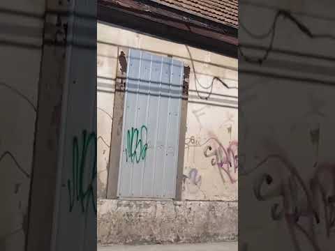 Quillota Valparaíso en chile