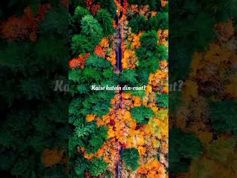 O Sajni Re❤️ | Laapataa Ladies | Arijit Singh