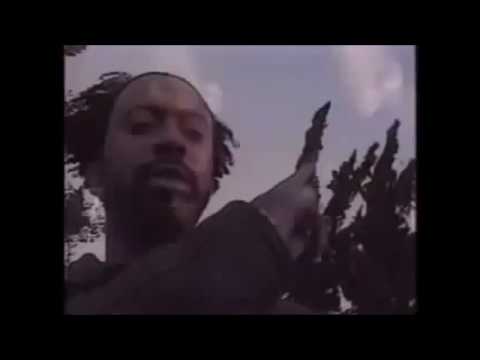 Hityawitdat (Remix) Music Video