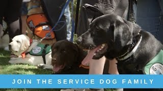 Join The Service Dog Family