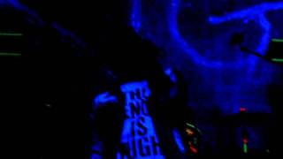 Kids In Glass Houses - Animals