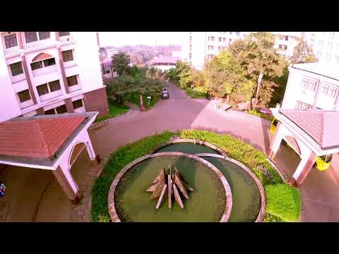 Video Production Work