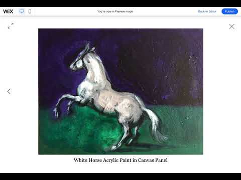 Wix Designer Tutorial: Wix Gallery Cropping