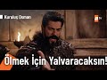 Osman Bey, Vasilis'i kıskıvrak yakaladı! - Kuruluş Osman 140. Bölüm