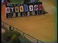 Olympic Park Greyhound Racing 1984