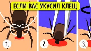 ЧТО ДЕЛАТЬ, ЕСЛИ В ТЕБЯ ВОПЬЕТСЯ ОПАСНЫЙ КЛЕЩ