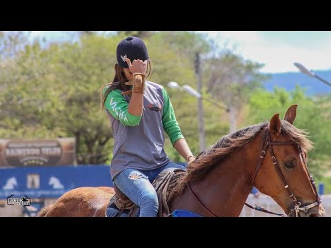 Que nem vovô - João Gomes