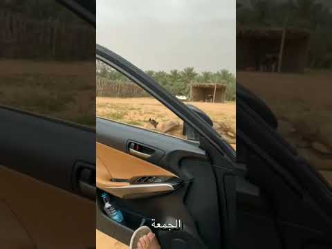 نهاية غير متوقعه سبحان الله #السعودية #اكسبلور #ترند تربية الابل سباق الهجن ناقه السعودية قطر ليبيا
