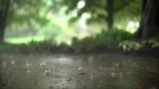 Gary Lewis And The Playboys - Rhythm Of The Rain - HD