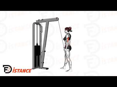 Exercice Extension unilatérale à la poulie haute