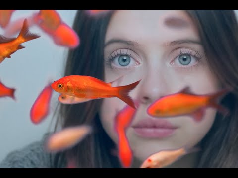 【哈佛沒教的幸福課 / Carrie Pilby】中文預告