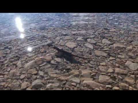 Mit Yoshi on Tour - im Ried