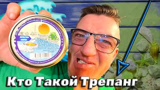 #трепанг с мёдом. Что такое трепанг, как есть трепанг, трепанг с мёдом дальневосточный подгон от товарищи Романа. Трепанг это и еда и лекарство, а тем более трепанг с медом.
 Обзор Трепанг с мёдом Что такое Трепанг и с чем его едят
