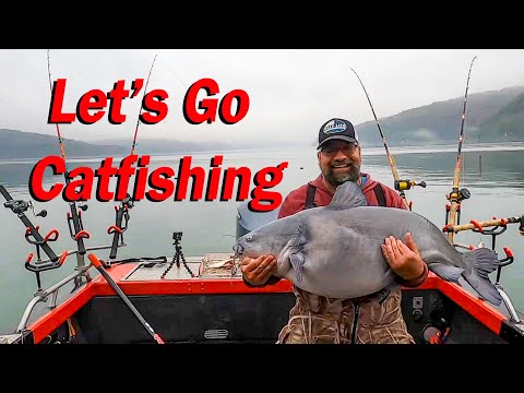 Catching Giant Bluecats and Flatheads in the wintertime