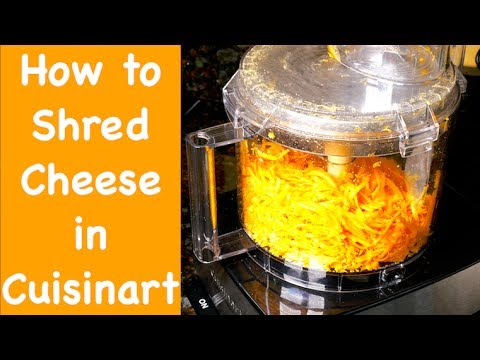 download lagu mp3 mp4 Shred Cheese In Food Processor, download lagu Shred Cheese In Food Processor gratis, unduh video klip Shred Cheese In Food Processor